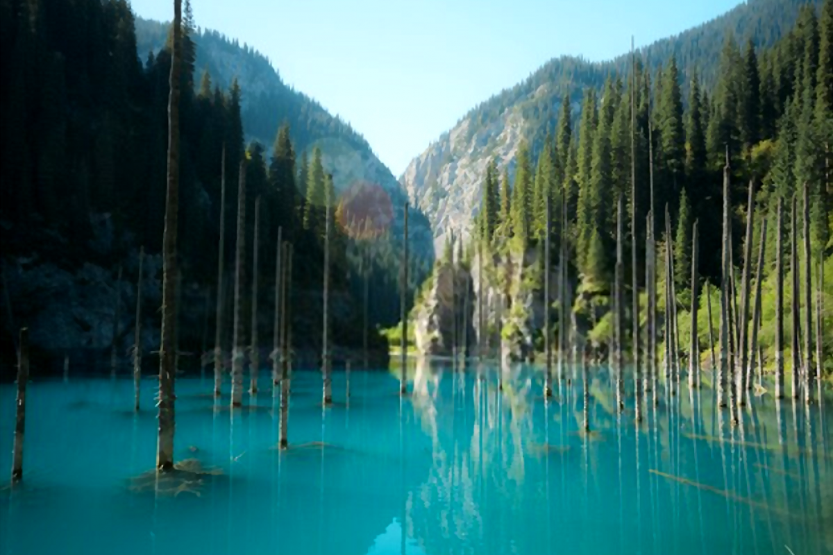 Images